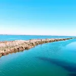 Brasilia بالافاس ليه فلو