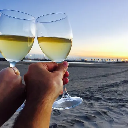 Brasilia Palavas-les-Flots