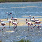 Brasilia